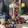 Upper West Side Phone Booth Transformed Into Overflowing Flower Display